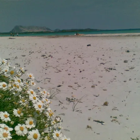 Casa Lea - Alle Tre Querce San Teodoro (Sardinia)